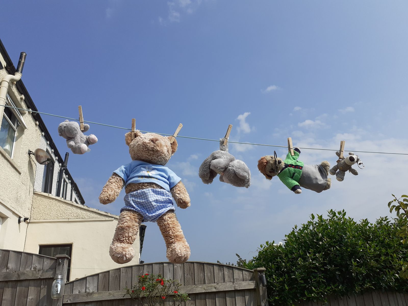 just hanging about 2020