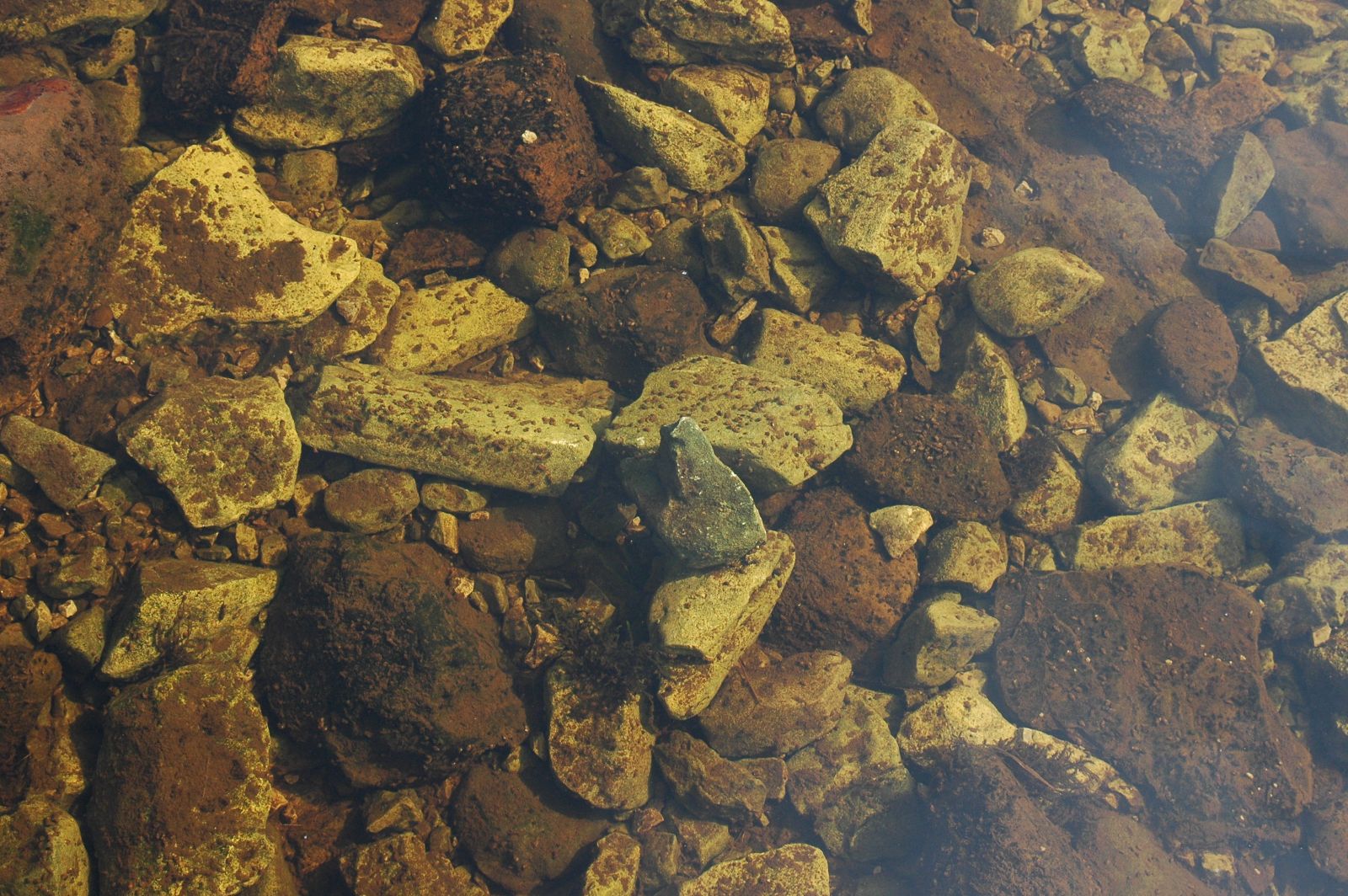 pebbles in a stream